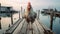 Captivating Documentary Photo: Rooster On Old Pier