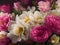 Captivating Elegance: Romantic Flowers Pictures for Your Home or Office