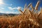 A captivating field of golden grain landscape, showcasing golden fields of wheat swaying in the breeze under the warm sun.