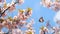 Captivating Image of Blossoming Cherry Branches and Butterflies Against Blue Sky. Generative Ai