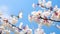 Captivating Image of Blossoming Cherry Branches and Butterflies Against Blue Sky. Generative Ai