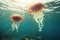 A captivating image of a couple of graceful jellyfish swimming effortlessly in their aquatic home, Two jellyfish swimming in the