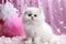 Captivating image of a lovely white kitten, showcasing cuteness and charm as a delightful pet cat