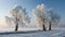 This captivating image showcases three majestic trees frost, creating a mesmerizing winter wonderland.