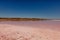 Captivating image showcasing the mesmerizing pink water gently lapping against the sandy shores