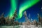 Captivating lights of the Aurora borealis painting the Lapland nights in Finland. Generative AI
