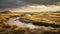 Captivating Marsh Photograph Of Denmark\\\'s Hills With Perfect Lighting