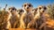 A Captivating Meerkat Adventure