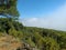 A captivating moment where clouds gently engulf an entire forest