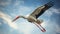 Captivating Narrative Visual: White Stork Soaring With Angular Constructions