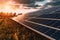 Captivating Panoramic View of Solar Panels with Sun Flare Cinematic Shot