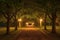 A captivating pathway adorned with tree-lined lights presents a breathtaking sight as darkness blankets the night, A night view of