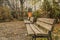 Captivating photo of an autumn season with wooden bench in park.