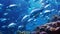 This captivating photo showcases a large aquarium filled with an impressive variety of fish, Underwater, divers, shoals of fish,