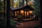 Captivating photos of a cozy cabin nestled in a picturesque forest ai created
