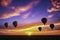 Captivating picture showcasing a cluster of hot air balloons ascending