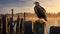 Captivating Portrait Of A Bald Eagle At Sunrise On An Old Pier