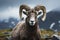 The captivating portrait of a bighorn sheep making direct eye contact