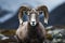 The captivating portrait of a bighorn sheep making direct eye contact
