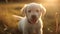 Captivating Portrait of Puppy\\\'s First Smile, Made with Generative AI