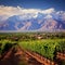 Captivating scene showcasing the vibrant spirit of Mendoza, Argentina