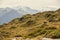 Captivating shot of the Swiss Alps, with their towering, snow-covered peaks against a blue sky