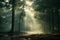 Captivating sunbeams illuminating a serene misty forest with enchanting rays of light