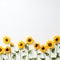 Captivating Sunflower Beauty Serene White