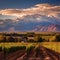 Captivating surreal landscape of Mendoza's vineyards, mountains, and wine cellar