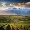 Captivating surreal landscape of Mendoza's vineyards, mountains, and wine cellar