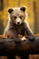 Captivating Vertical Photo of an Adorable Baby Bear Cub Exploring its Enchanting Forest Home