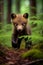 Captivating Vertical Photo of an Adorable Baby Bear Cub Exploring its Enchanting Forest Home