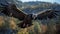 Captivating Vulture In Flight: Vibrant Imagery Of Mountains And Animals