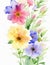 Captivating Watercolor Spring Flowers: Blooming Florals on White Background.