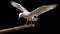 Captivating White Bird On Branch: Innovative Breakdance Photography