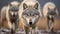 Captivating Wolves: Shiny Eyes And Raw Vulnerability