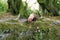 Captive bush dog in zoo