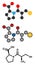 Captopril high blood pressure (hypertension) drug. An angiotensin-converting enzyme inhibitor (ACE inhibitor