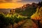 Capture the awe-inspiring beauty of a vineyard bathed in the warm hues of a stunning sunset, An exquisite Italian vineyard under