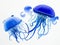 Capture the Beauty of a Jellyfish in Watercolor Illustration: A Medusa Painting on a White Background.