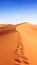 Capture the beauty of a minimalist desert landscape image