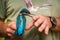 Capture of kingfisher for ringing