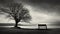 Capturing Bereaved Absence: Black And White Landscape Photo Of A Lonely Bench By The Lake