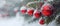 Capturing Holiday Spirit Festive Red Balls on Snowy Fir Branches