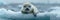 Capturing innocence baby seal pup on iceberg in stunning photorealistic photography
