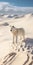Capturing The Perfectful Beauty Of Arctic Wolf With Dune Photography