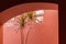 Capturing the Timeless Charm of an Egyptian Hotel\\\'s Terracotta Interior, Palm Trees, Arches, and Sunlit