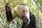 Capuchin MonKey