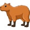Capybara Animal Cartoon Colored Clipart