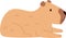 Capybara Animal Lying
